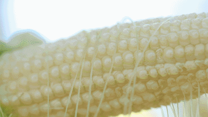 ΢ˮסHζٵĄ(chung)ǘ(bio)(zhn)Nֲ